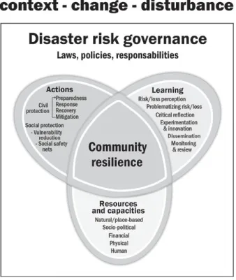 Figura 7. The emBRACE conceptual framework of  community resilience (da Becker et alii 2015).