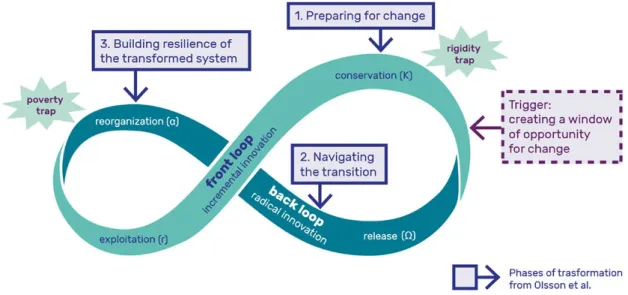 Figura 1.  Schematizzazione del ciclo di adattamento di un sistema naturale (da https://www.flowsmag.com/2017/03/10/