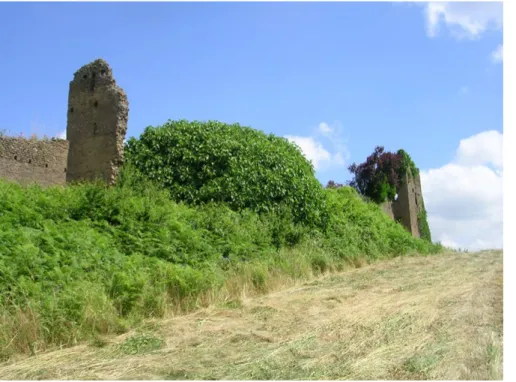 Figura 5. Colleferro  (Roma). Il castello di  Piombinara (foto  D. Fiorani, 2008).