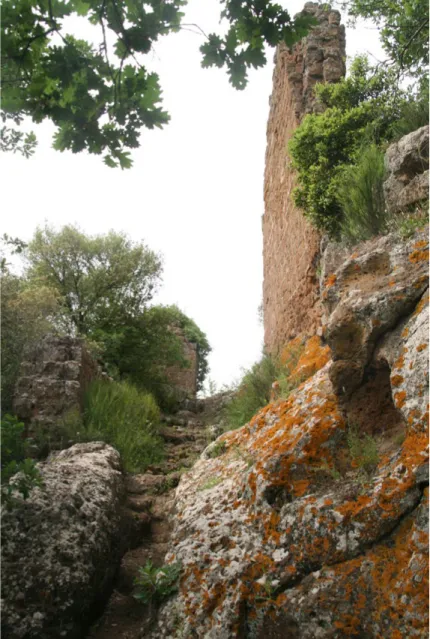 Figura 6. Resti della città medievale di  Norchia (Viterbo) (foto D. Fiorani, 2008).