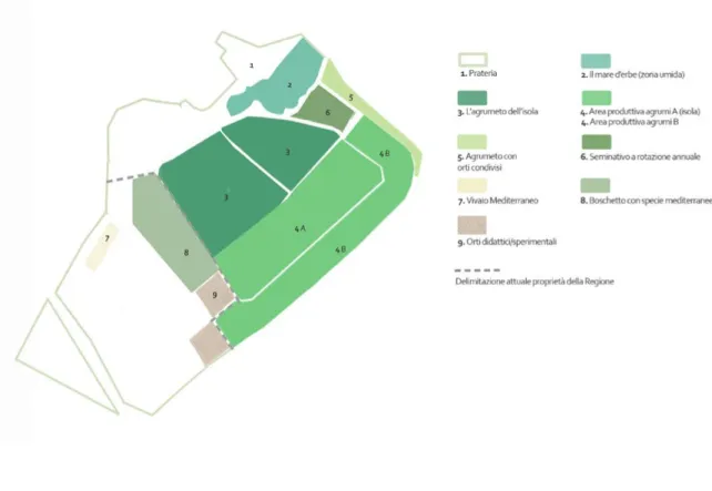 Figura 17. Schema del programma delle coltivazioni per il parco suddiviso per aree (da La Mantia 2018, tav