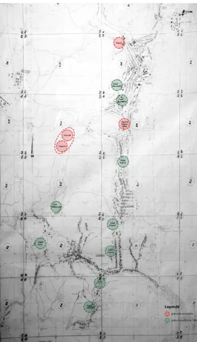 Figure 4. Anina’s administrative territory as resulted  in the 1980 masterplan and the indication of all  identified exploitation shafts during the mine’s  industrial activity: (red) from north to south: 