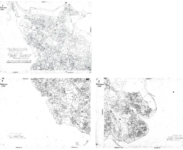 Figure 4a-b-c. Carta catastale 1:100.000, 1870, fogli 6, 8 e 9 relativi al centro storico.