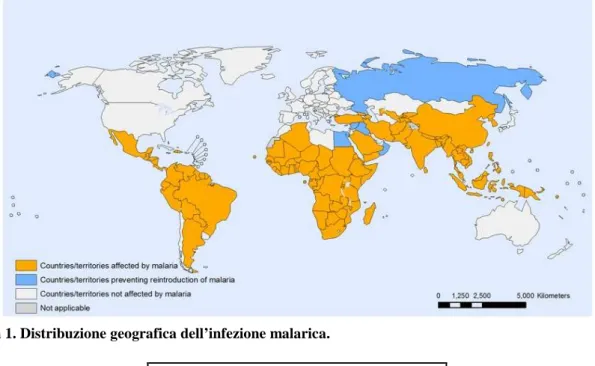 Figura 1. Distribuzione geografica dell’infezione malarica. 