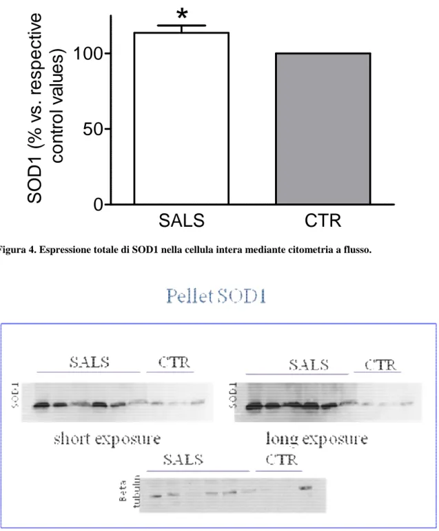 Figura 4. Espressione totale di SOD1 nella cellula intera mediante citometria a flusso