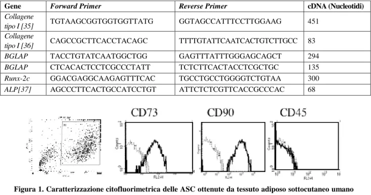 Tabella 1. Sequenza dei primer per la reazione di trascrittasi inversa-polimerasi (RT-PCR)