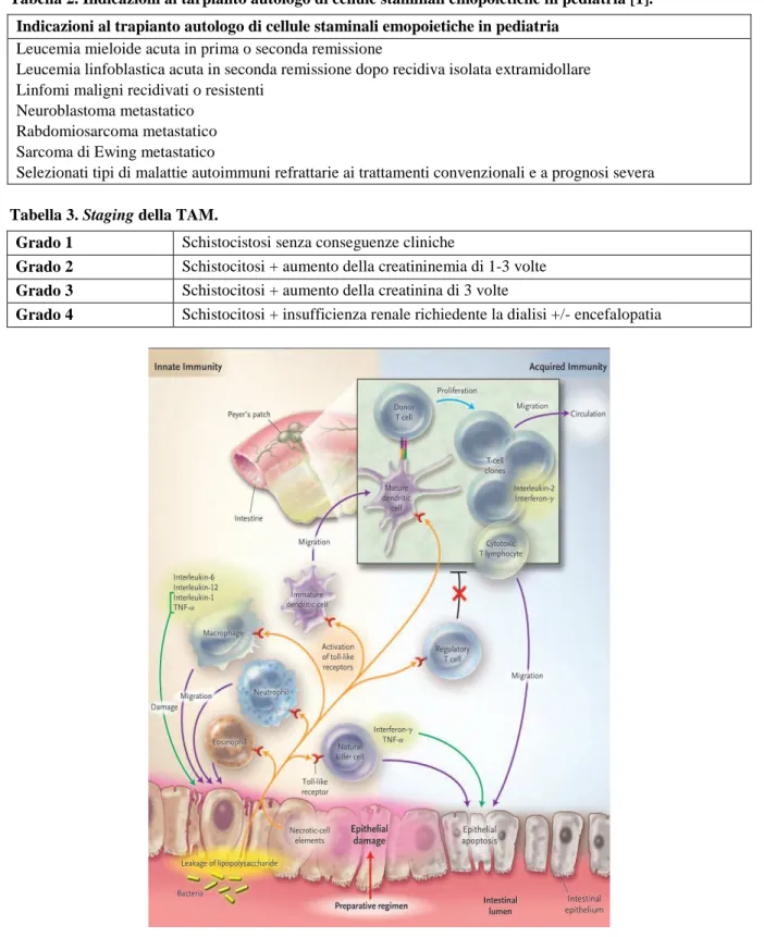 Tabella 2. Indicazioni al tarpianto autologo di cellule staminali emopoietiche in pediatria [1].