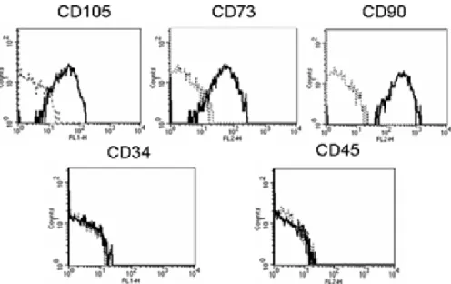 Figura 1. Marker di superficie. Le hASCs risultano essere positive per i marcatori di staminalità  quali i recettori CD105, CD73, CD90 e negative per i marcatori emopoietici CD34 e CD45.