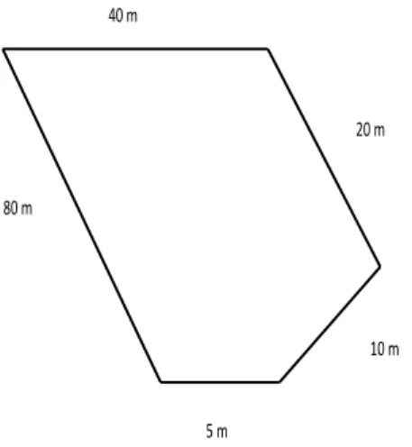 Figura 1. Imagen similar al terreno imposible que apareció en el libro de texto  matemáticas de 5º grado de primaria de 2010.