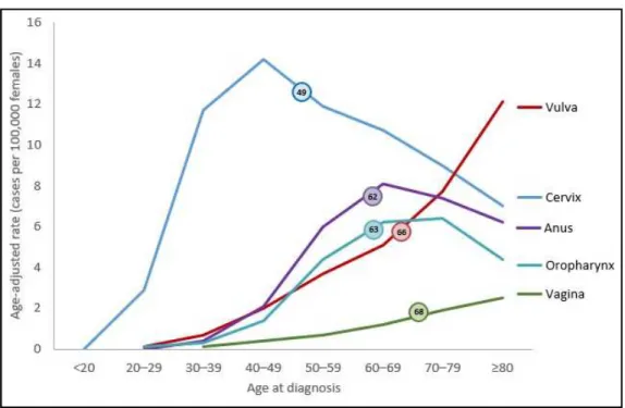 Figura 7: Percentuale di casi attribuibili ad HPV in base all’età nel sesso femminile   (USA 2012-2016) [13] 