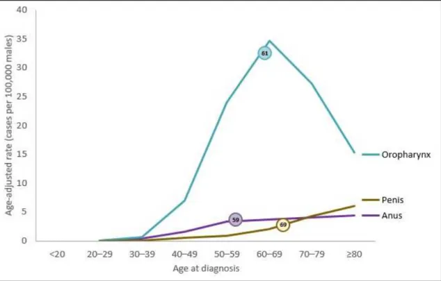 Figura 8: Percentuale di casi attribuibili ad HPV in base all’età nel   sesso maschile (USA 2012-2016) [13] 