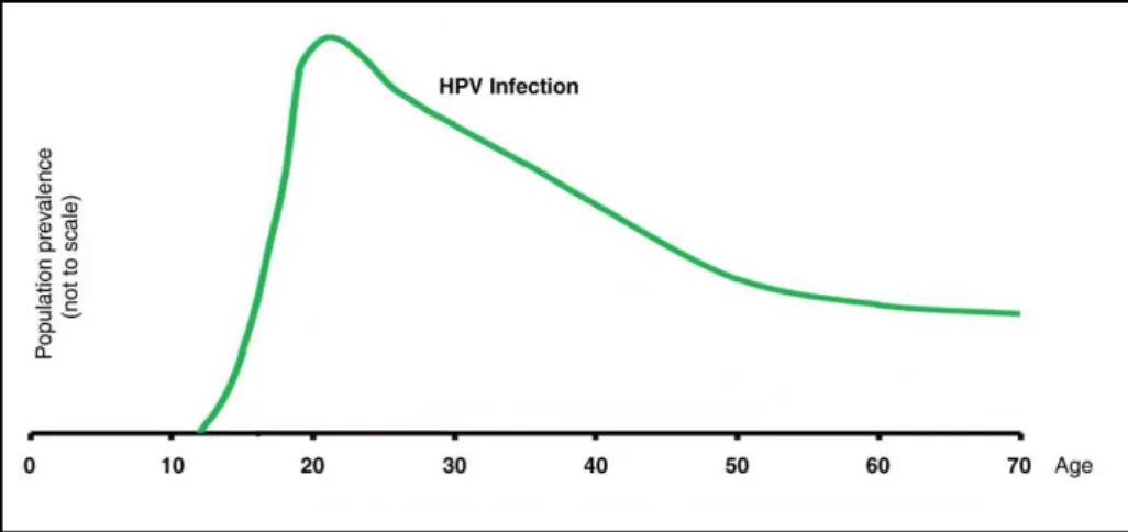 Figura 1: Andamento dell'infezione da HPV in base all'età (Schiffman M, Wentzensen N. Human  papillomavirus infection and the multistage carcinogenesis of cervical cancer