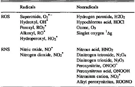 Figura 2Specie Reattive dell'Ossigeno (ROS) e dell'Azoto (RNS)(Dröge, 2002) 