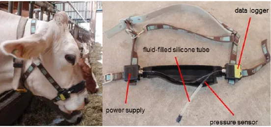 Figure 5. Description of RumiWatch noseband sensor. Adapted from Zehner et al. (2012)