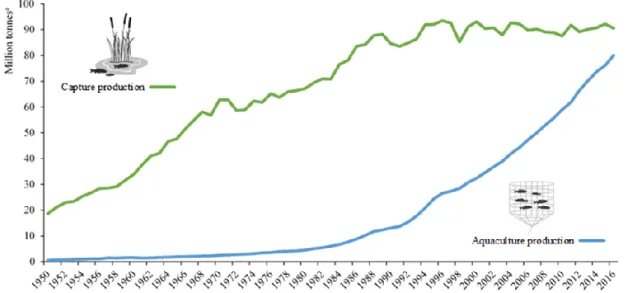 Fig. 1.1 Trend in global capture fisheries and aquaculture production from 1950 to 2016,  (FAO, 2018b)