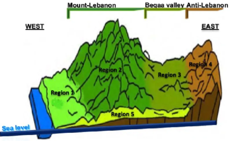 Figure 8. Topography of Lebanon (MoE, 2009). 