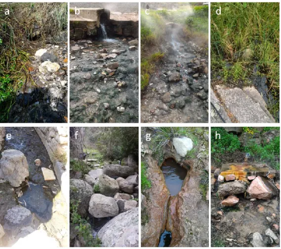 Fig. 6. Photographs of the thermo-mineral springs studied: San Giovanni Su Anzu (a); Caddas  1 (b); Caddas 2 (c); San Saturnino (d); Abbarghente (e); Su Banzu Mannu (f); San Martino (g); 
