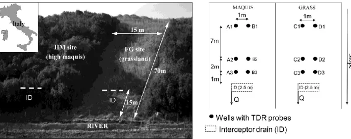 Fig.  1.1.  View of the  experimental hillslope,  with location of the  interceptor drains (ID) and spatial  disposition of the piezometers at the FG and HM sites