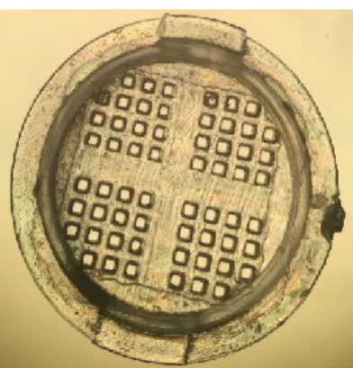 Figura  5:  Immagine  al  microscopio  (4X)  del  dispositivo  E-Vit  (FertilSafe  LTD)  