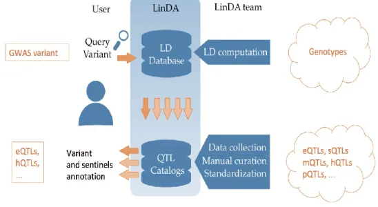Fig 6.  Workflow summarizing the LinDA browser web interface. 