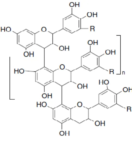 Figure 1.3 Example of condensed tannin structure in fodder legumes (procyanidins, prodelphinidins)   (Mueller-Harvey, 2006)