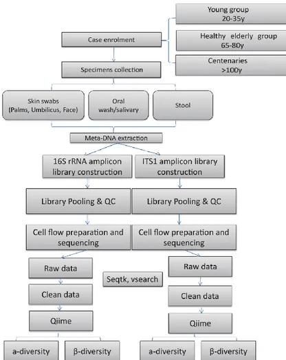 Figure 3.1 Design and workflow of the study 