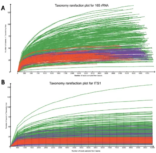 Figure  3.2  The  taxonomy  rarefaction  curve  created  in  Megan.  The  taxonomy 