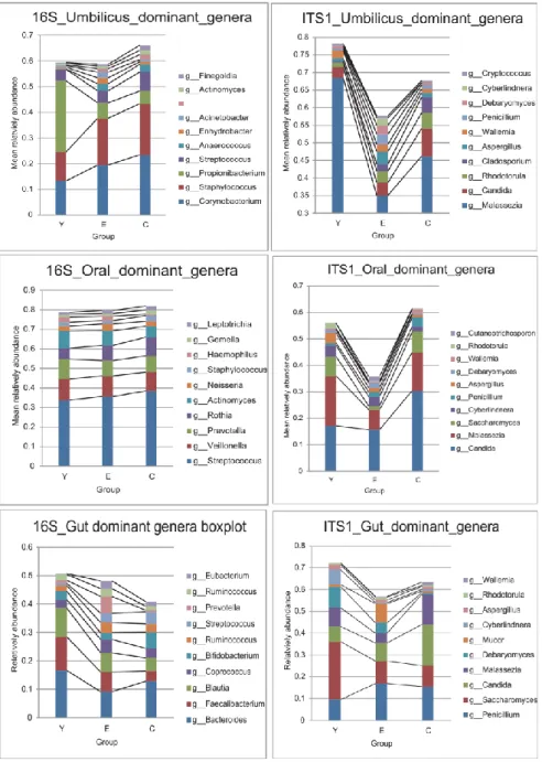 Figure  3.10  The  compositional  features  of  microbiota  among  three  age  groups