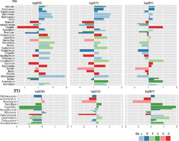 Figure  3.13  Boxplot  compared  the  relative  abundance  of  bacterial  and  fungal  genera  that  were  significant  differently  distributed  in  three  age  groups