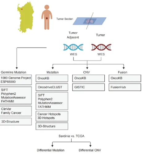 Figure 2.1 Flow chart of project of Genomic Landscape of Local Prostate Cancer in  Sardinian Population 