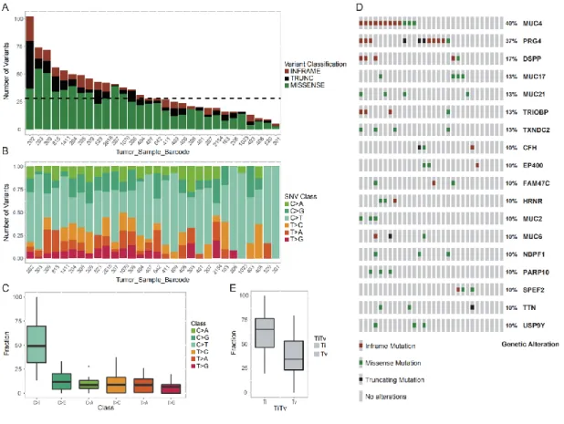 Figure  3.2  Summary  of  somatic  mutation  in  30  prostate  cancer  patients  in  Sardinia