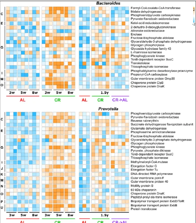 Figure  22:  Functional  expression  profile  of  Bacteroides  and  Prevotella  metaproteomes