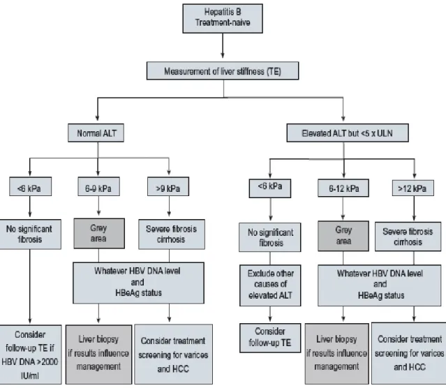 Figure 3: Algorithm in chronic Hepatitis B  