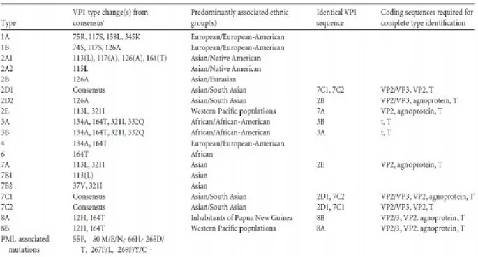 Table 1. JCV genotypes and subtybe: classification based on VP1 gene differences. (Ferenczy,  2012) 