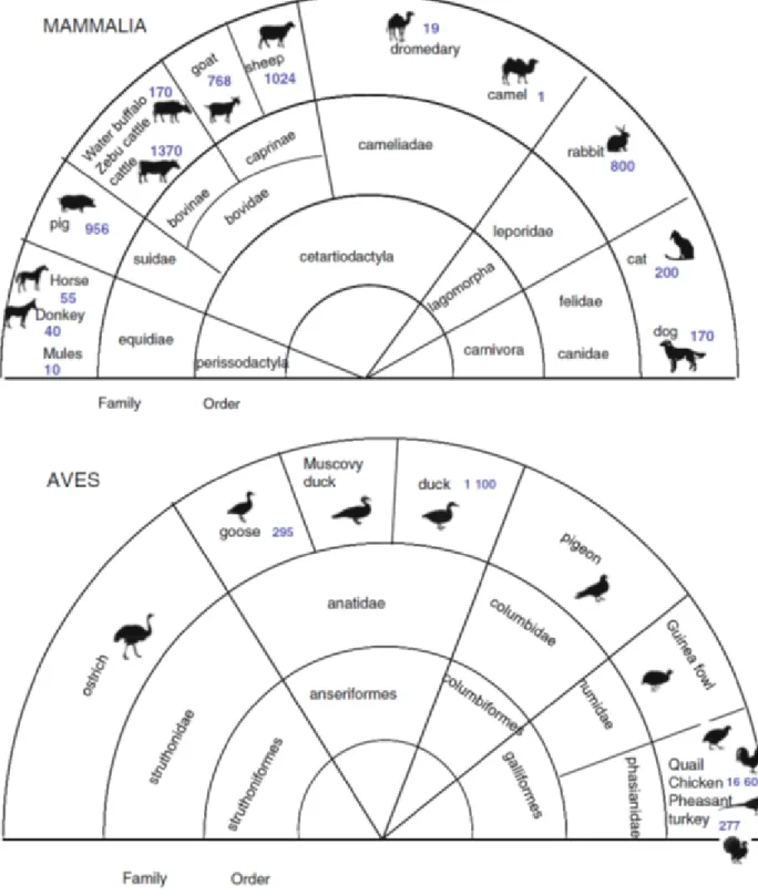 Figure 1. Species of veterinary interest with the worldwide size (x10 6 ) 
