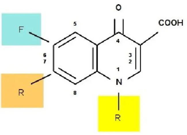 Figure 5. Fluoroquinolones chemical structure 