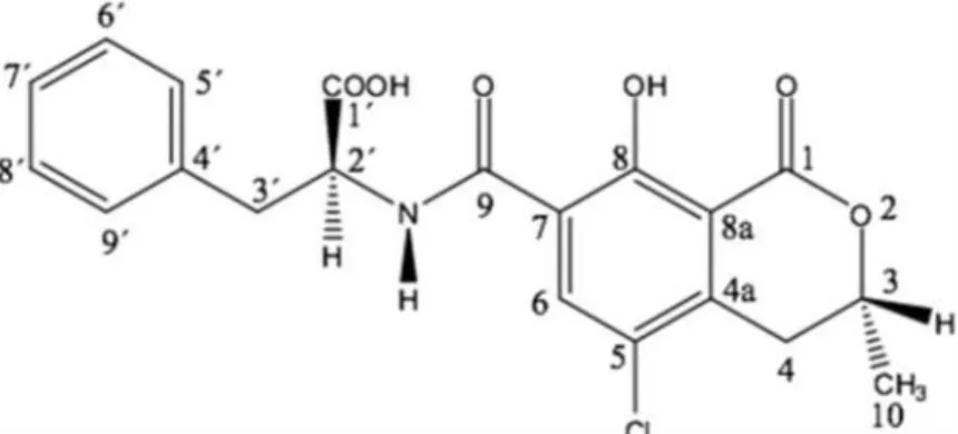 Figura 1. Struttura della ocratossina. 