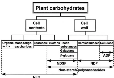Figure  1.  Plant  carbohydrate  fraction  classification  as  proposed  by  Hall  (2003).ADF  =  acid  detergent  fiber,  β -glucans  =  (1  →  3)  (1  →  4)-β-D-glucans,  NDF  =  neutral  detergent  fiber,  NDSF  =  neutral  detergent-soluble  fiber  (in