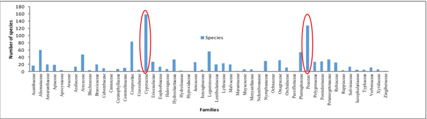 Figure 2. Families name and number of native and non-native aquatic plants recorded for the 16 regions of  South America recorded in the inventory list of 1,463 species