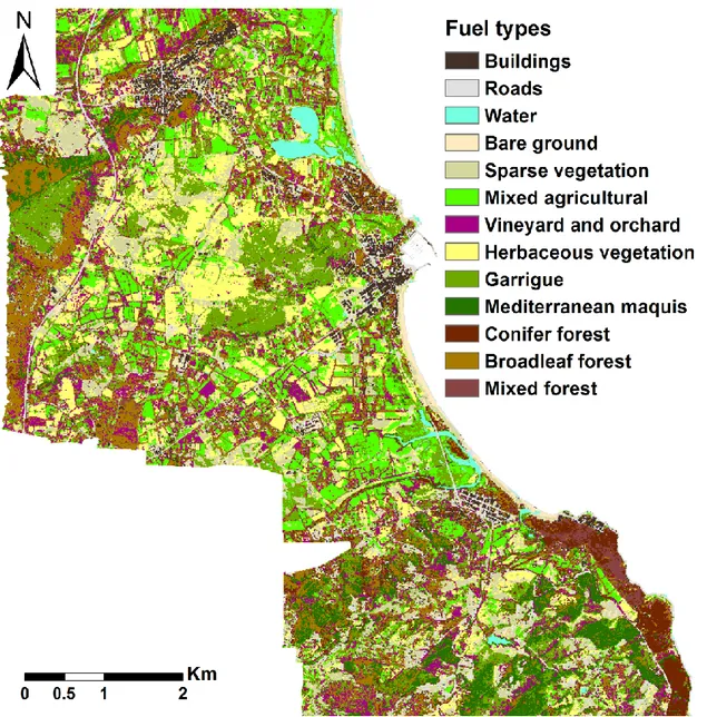 „Mixed forest‟ (Table 1.8, Fig.  1.3, and Appendix A). The highest proportion of land,  correspond to  fuel  types „Garrigue‟, „Herbaceous vegetation‟ and „Mixed agricultural‟ 