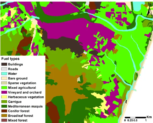 Fig. 1.6. Fuel types of the Muravera study area, according to the Land Use Map (LUM) of Sardinia 