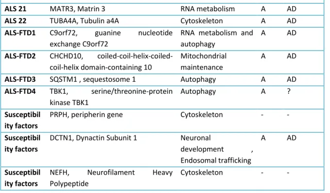 Table 1.Principal gene locus involved in ALS and relative mutations: Genetic factors at the base of the SLA
