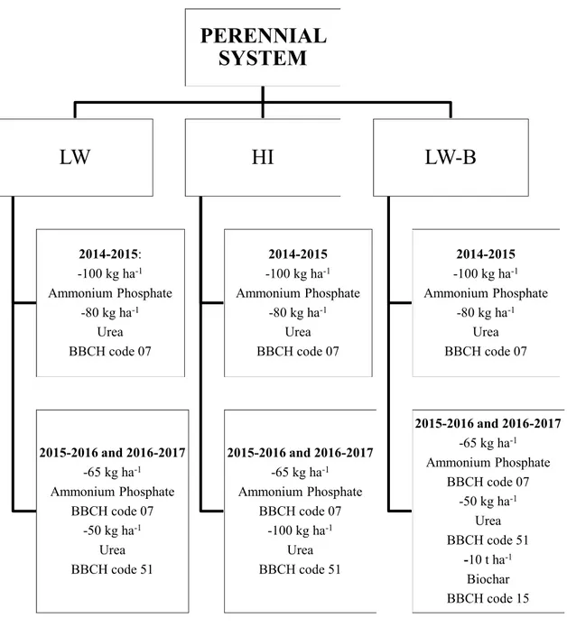 Figure 2 :  Scheme of perennial cropping systems  management for the three growing seasons