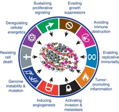 Figure  8.  Hallmarks  of  cancer:  the  next  generation.  There  are  now  10  established hallmarks of cancer, including inflammation, metabolism and genomic  instability (taken from 170)