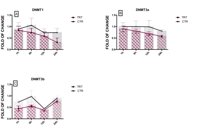 Fig. 36 Effect of Shock wave 100 pulses on DNA methyltransferase in Adipose derived stem cells (ADSC)