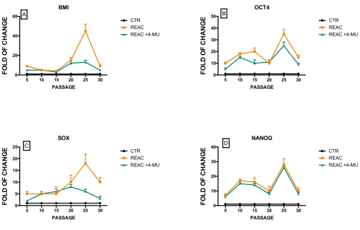 Figure  18  shows  that  in  ADhMSCs  cultured  up  to  30°  passage  BMI  gene  expression  progressive declined during multiple passages in vitro