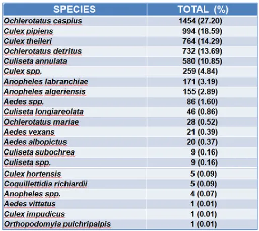 Table 4.1 Species of mosquitoes caught during 2015 (from Rossi et al. 2016). 