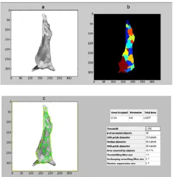 Figure 6.  Example of calculation of the area occupied by the image of the lamb carcass through  CellProfiler software.