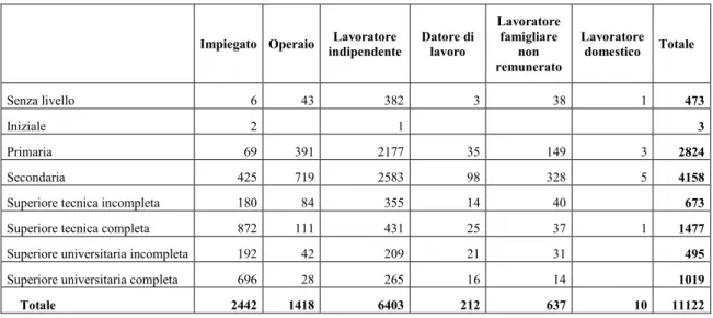 Tabella 5 Uomini occupati per categoria di lavoro e livelli di istruzione, distretto di Sicuani  