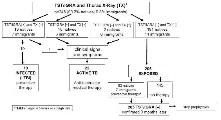 Figure 2. Diagnostic and therapeutic flow-chart of our study population, subdivided into the three categories of latent TB (LTBI), active TB  and TB exposed children depending on the TST/IGRA and chest-X Ray (TX) negative [–] or positive [+] results